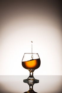 從土地到餐桌 農(nóng)業(yè)循環(huán)中的食物、營養(yǎng)與酒精飲料